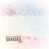 Paul Mounsey - Senses 2011 (Visit Scotland) - Single